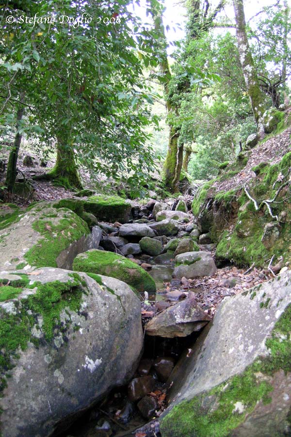 sulle montagne del Rif, un paio di settimane fa...